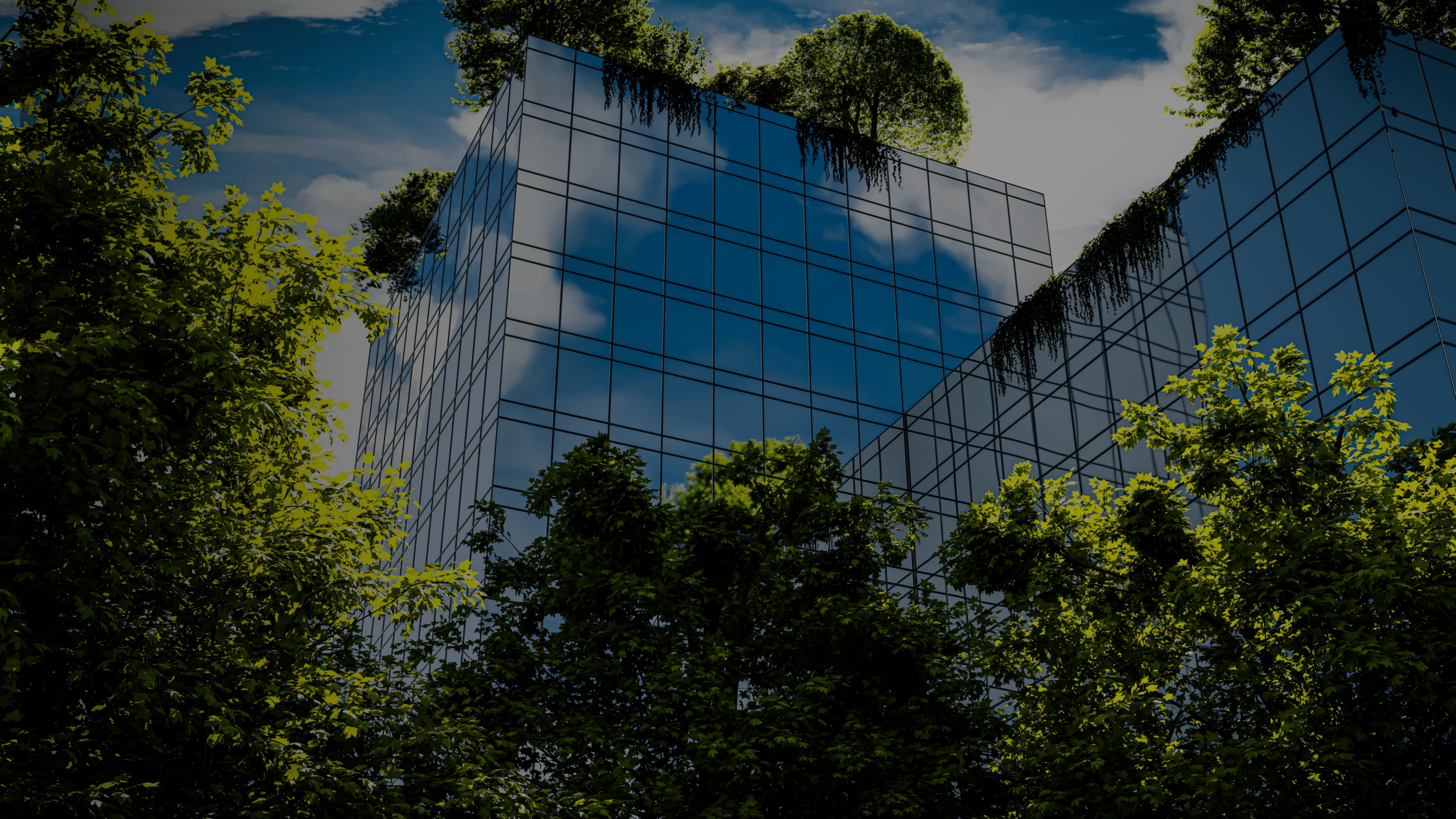 ASEE ESG — zrównoważony rozwój